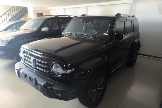 Used Tank 300 2021 City Edition 2.0T—Truly Stylish