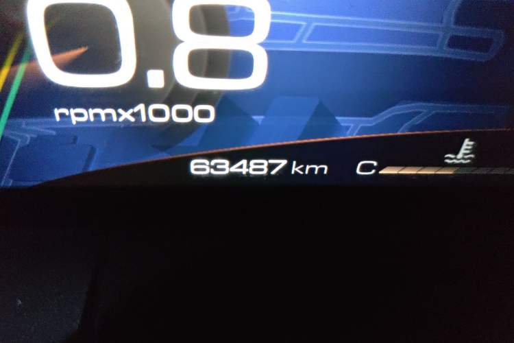 Used Tank 300 2021 Off-Road Edition 2.0T Challenger Odometer Close Up