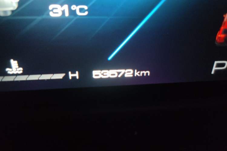 Used Tank 300 2021 City Edition 2.0T Essential Model Odometer Close Up