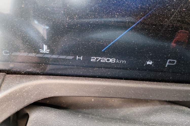 Used Tank 300 2021 Off-Road Edition 2.0T Challenger Odometer Close Up