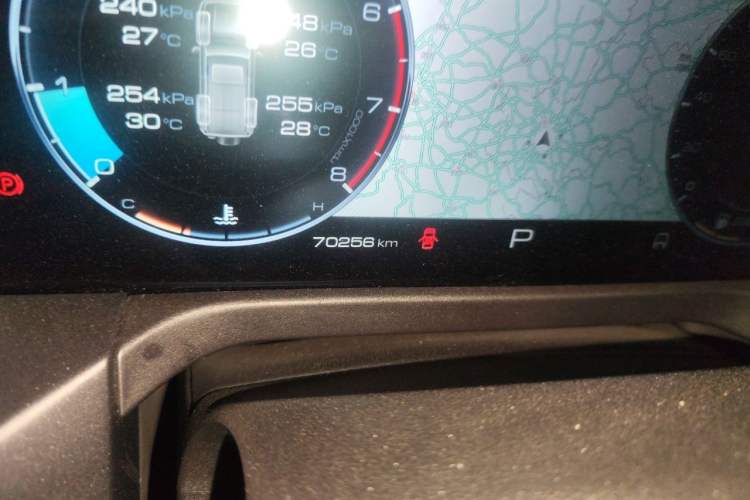Used Tank 300 2021 Off-Road Edition 2.0T Conqueror Odometer Close Up