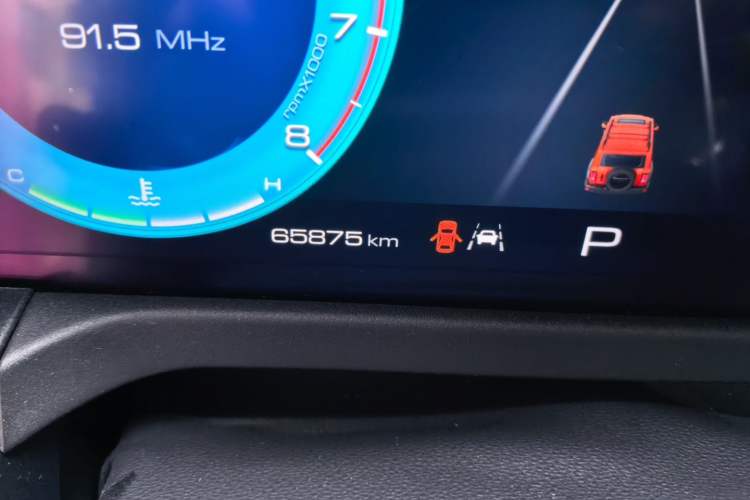 Used Tank 300 2021 Off-Road Edition 2.0T Challenger Odometer Close Up