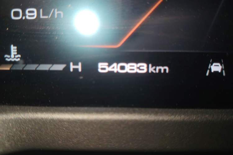 Used Tank 300 2021 Off-Road Edition 2.0T Conqueror Odometer Close Up
