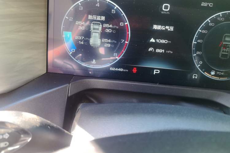 Used Tank 300 2021 Off-Road Edition 2.0T Conqueror Odometer Close Up