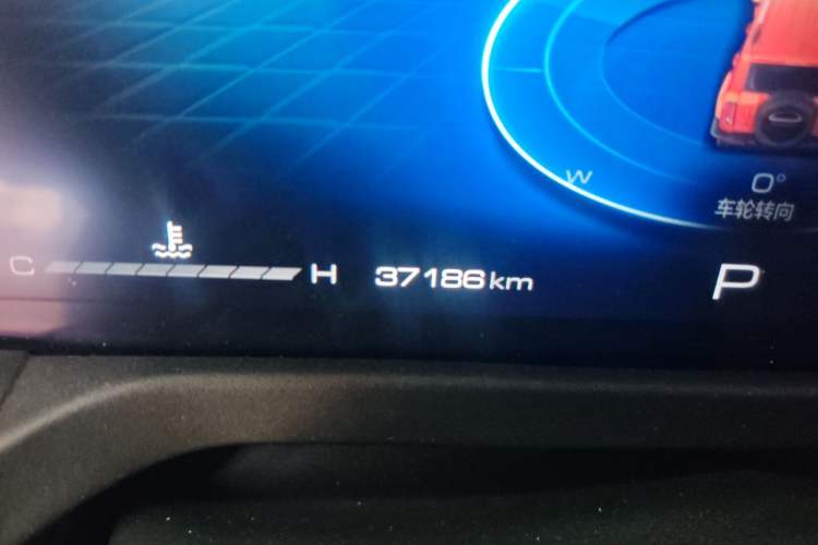 Used Tank 300 2021 City Edition 2.0T Essential Model Odometer Close Up
