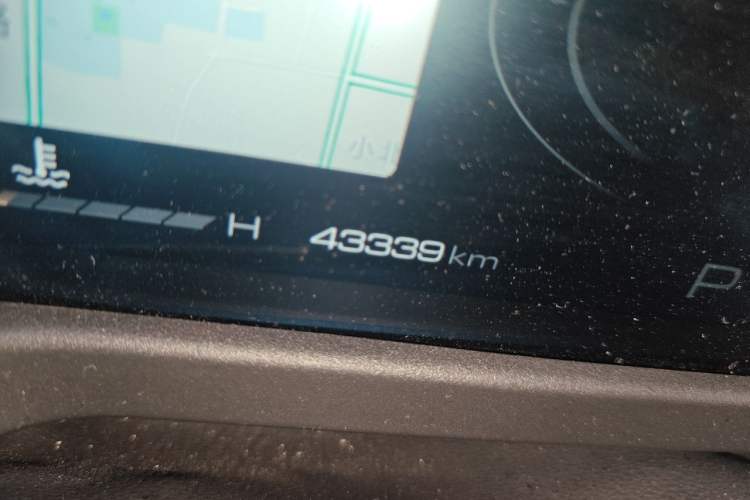 Used Tank 300 2021 Off-Road Edition 2.0T Conqueror Odometer Close Up