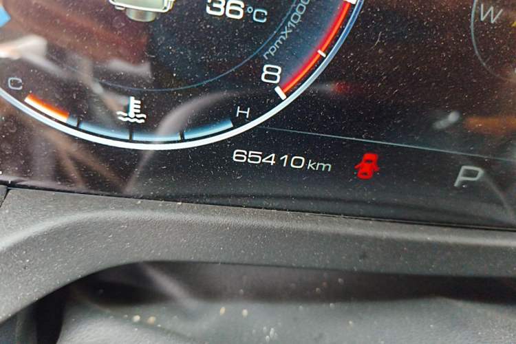 Used Tank 300 2021 Off-Road Edition 2.0T Challenger Odometer Close Up