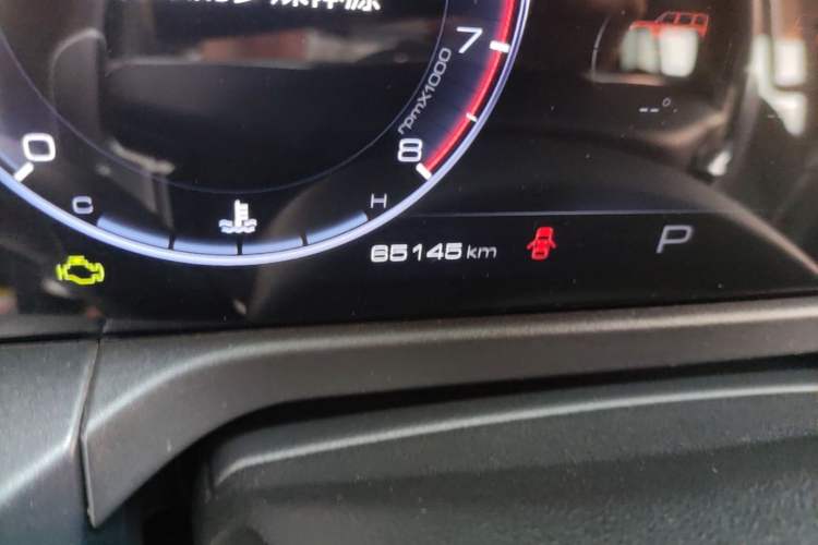 Used Tank 300 2021 Off-Road Edition 2.0T Conqueror Odometer Close Up