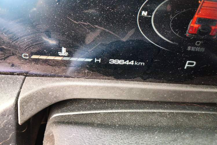 Used Tank 300 2021 Off-Road Edition 2.0T Challenger Odometer Close Up