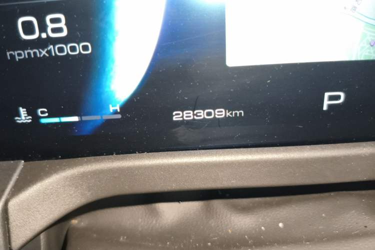 Used Tank 300 2021 Off-Road Edition 2.0T Conqueror Odometer Close Up