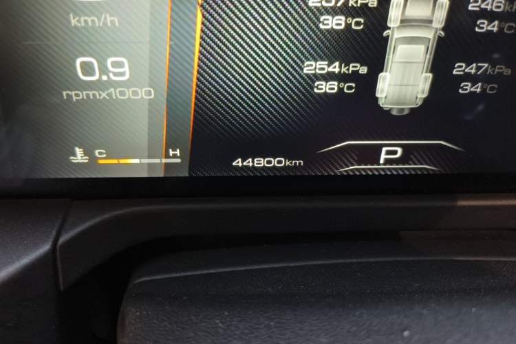 Used Tank 300 2021 Off-Road Edition 2.0T Challenger Odometer Close Up