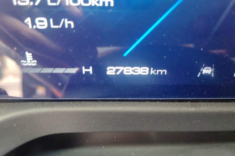 Used Tank 300 2021 City Edition 2.0T—Truly Stylish Odometer Close Up