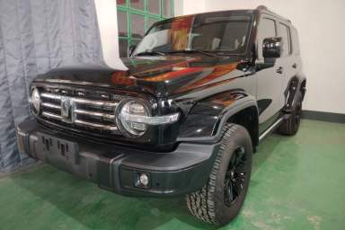 Used Tank 300 2021 City Edition 2.0T Essential Model