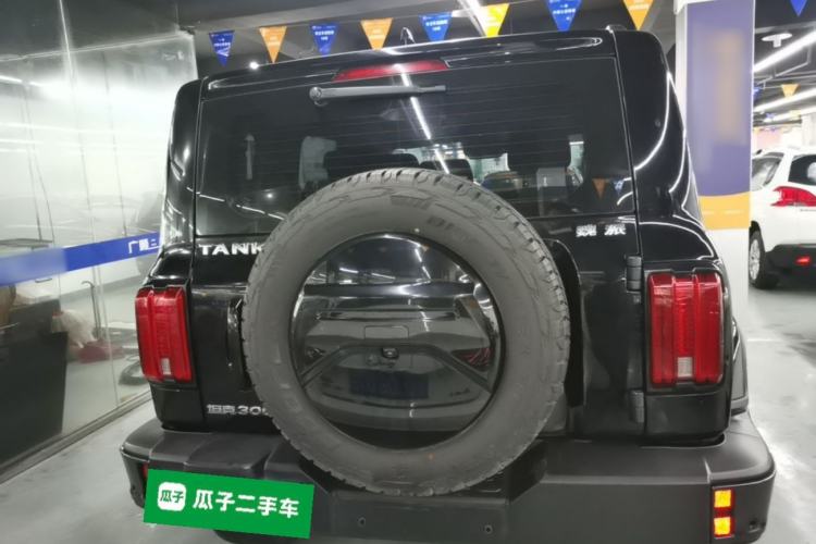Used Tank 300 2021 City Edition 2.0T My Vision Model Rear