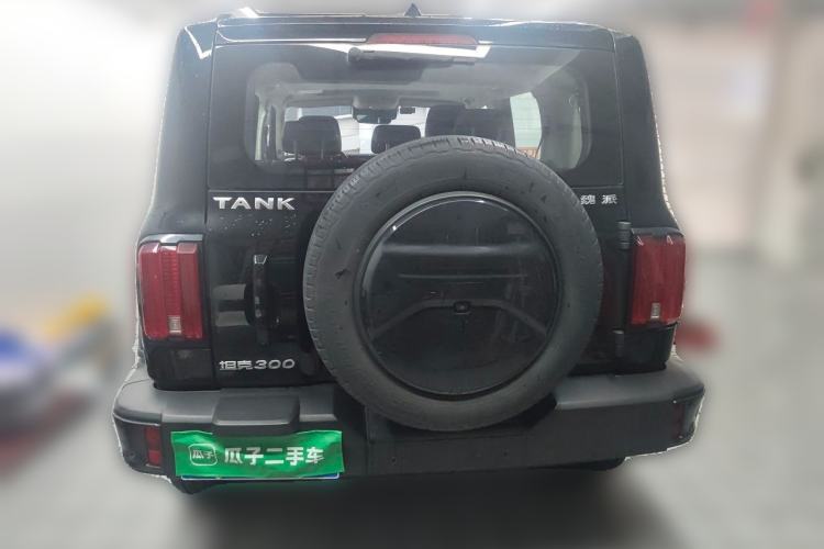 Used Tank 300 2021 City Edition 2.0T—Truly Stylish Rear