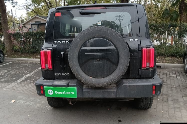 Used Tank 300 2021 City Edition 2.0T—Truly Stylish Rear