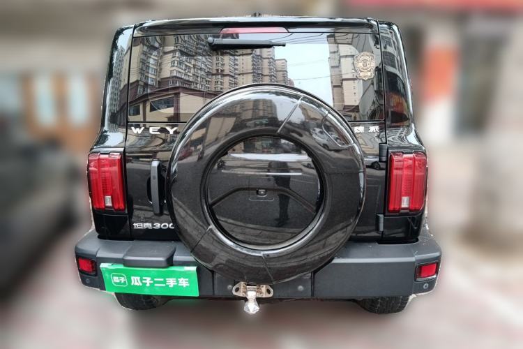 Used Tank 300 2021 Off-Road Edition 2.0T Conqueror Rear