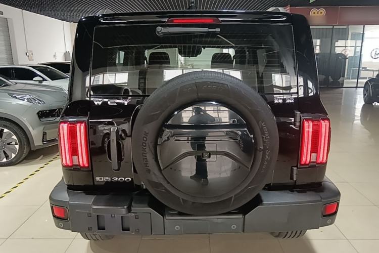 Used Tank 300 2021 Off-Road Edition 2.0T Conqueror Rear