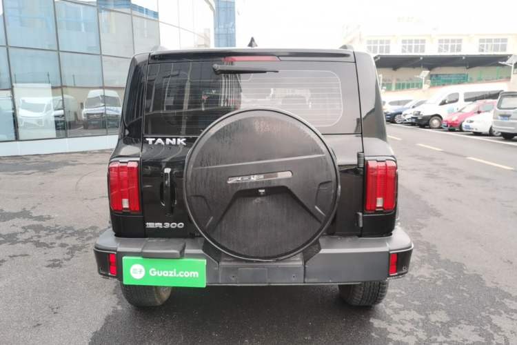 Used Tank 300 2021 City Edition 2.0T—Truly Stylish Rear