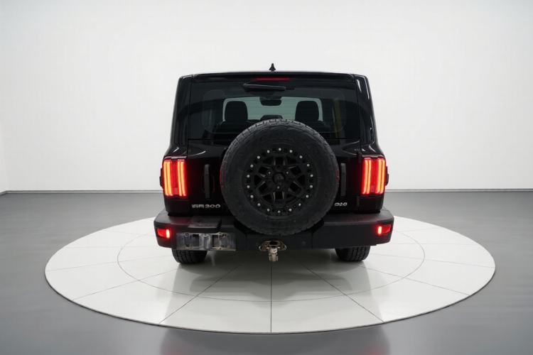 Used Tank 300 2021 Off-Road Edition 2.0T Conqueror Rear