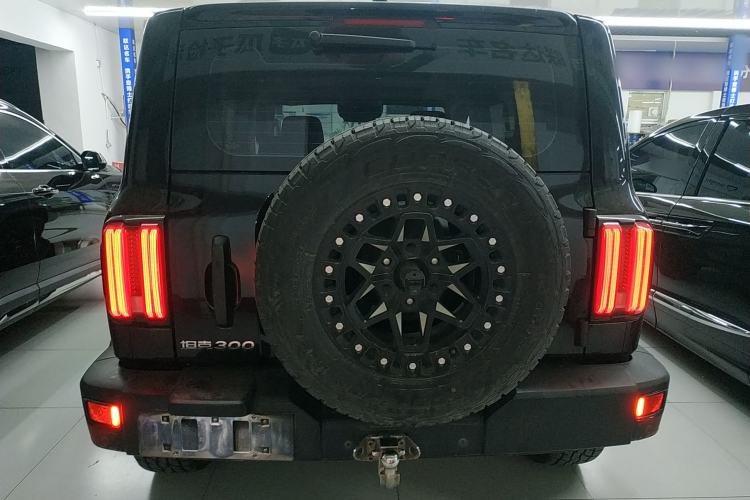 Used Tank 300 2021 Off-Road Edition 2.0T Conqueror Rear