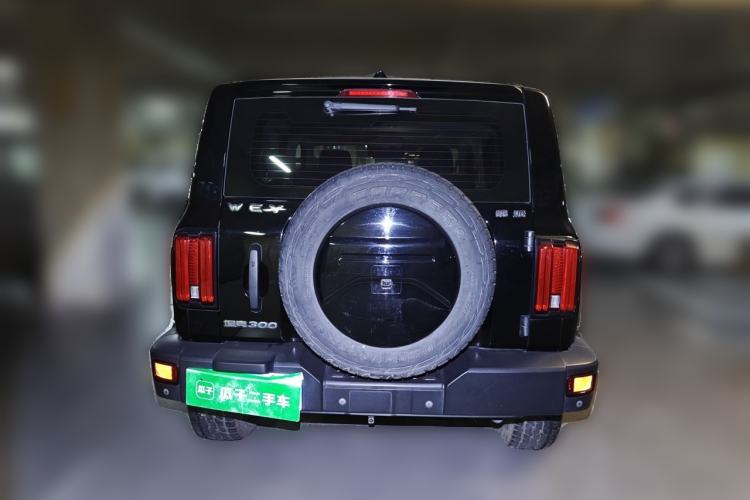 Used Tank 300 2021 Off-Road Edition 2.0T Conqueror Rear