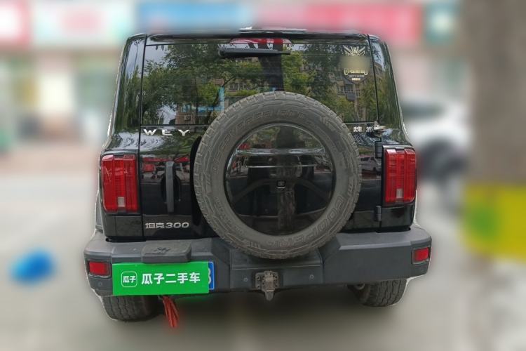 Used Tank 300 2021 Off-Road Edition 2.0T Conqueror Rear