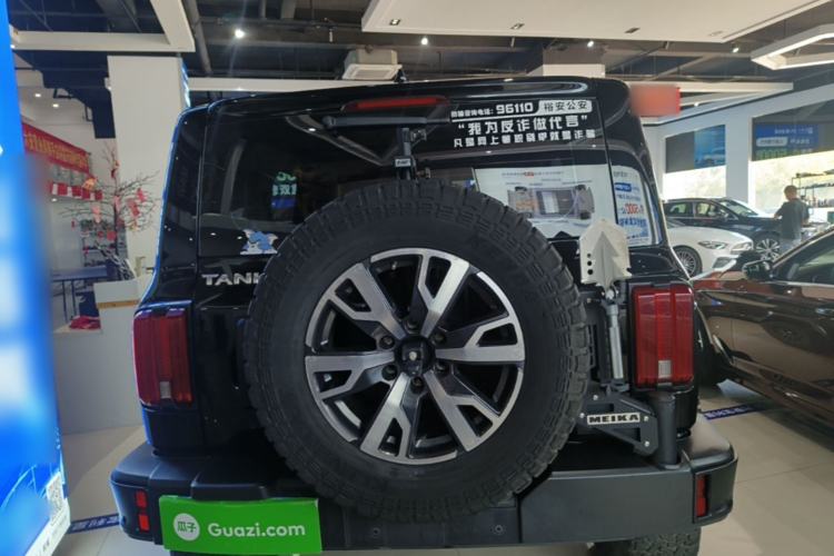 Used Tank 300 2021 City Edition 2.0T—Truly Stylish Rear