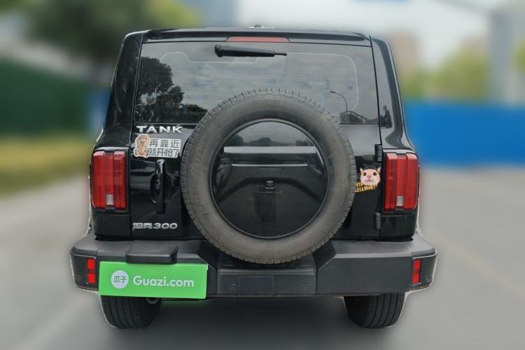 Used Tank 300 2021 City Edition 2.0T—Truly Stylish Rear