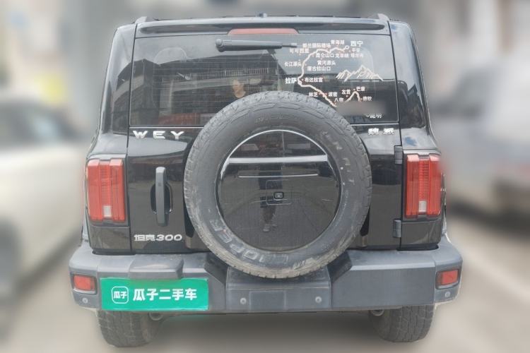 Used Tank 300 2021 Off-Road Edition 2.0T Conqueror Rear