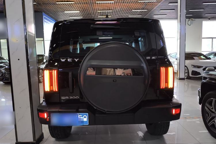Used Tank 300 2021 Off-Road Edition 2.0T Conqueror Rear