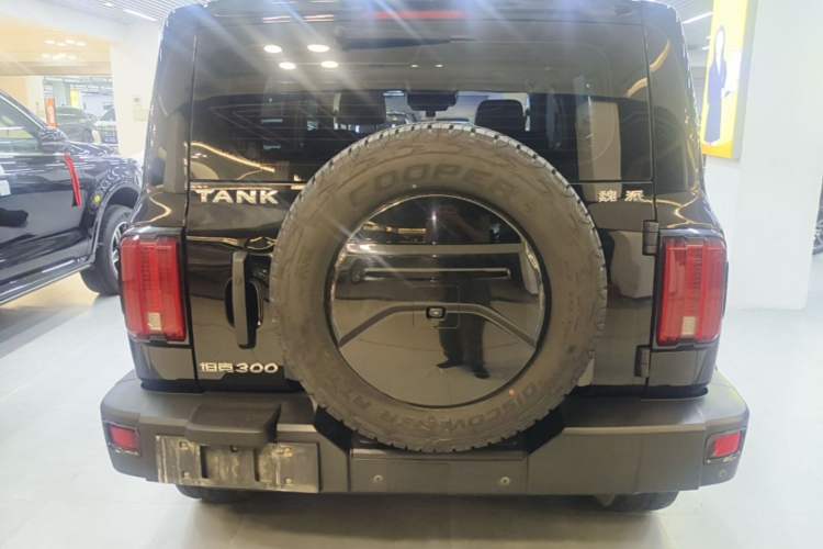 Used Tank 300 2021 Off-Road Edition 2.0T Conqueror Rear