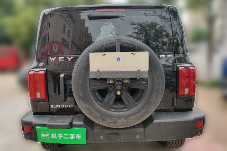Used Tank 300 2021 Off-Road Edition 2.0T Challenger Rear