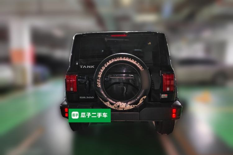 Used Tank 300 2021 City Edition 2.0T Essential Model Rear