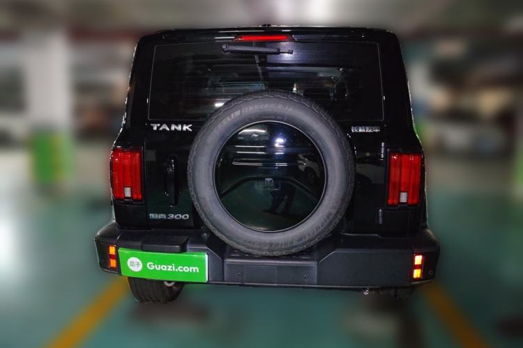 Used Tank 300 2021 City Edition 2.0T—Truly Stylish Rear