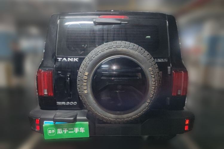 Used Tank 300 2021 City Edition 2.0T Essential Model Rear