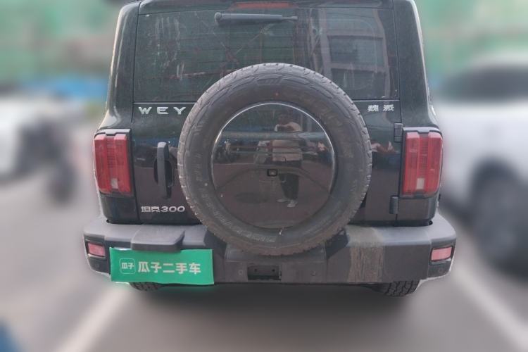 Used Tank 300 2021 Off-Road Edition 2.0T Challenger Rear