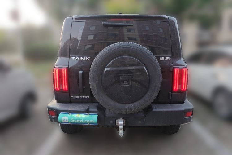 Used Tank 300 2021 2.0T Monet Tribute Limited Edition Rear