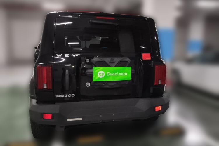 Used Tank 300 2021 Off-Road Edition 2.0T Conqueror Rear
