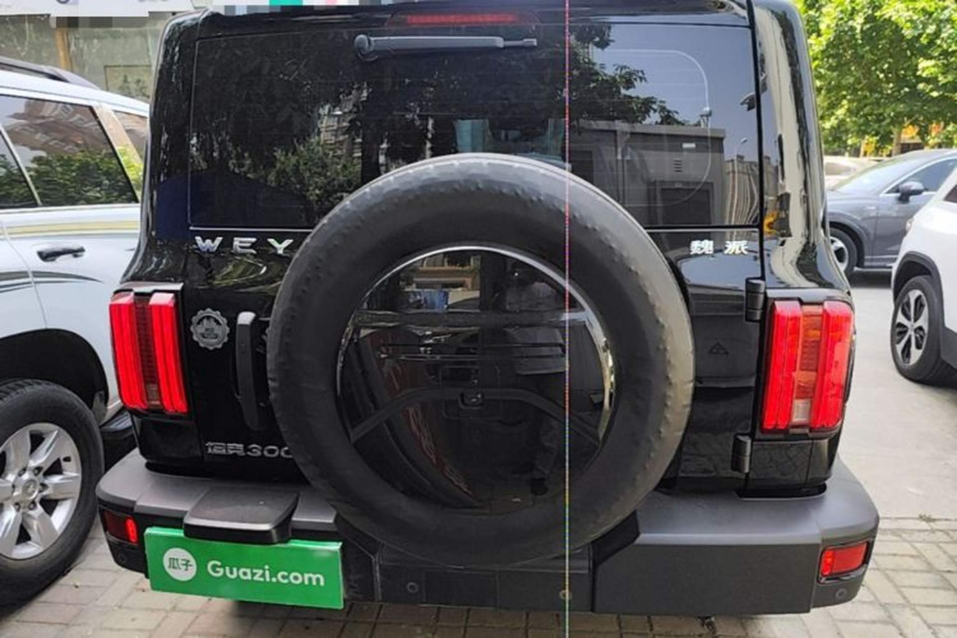 Used Tank 300 2021 Off-Road Edition 2.0T Challenger Rear