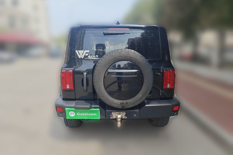 Used Tank 300 2021 Off-Road Edition 2.0T Conqueror Rear