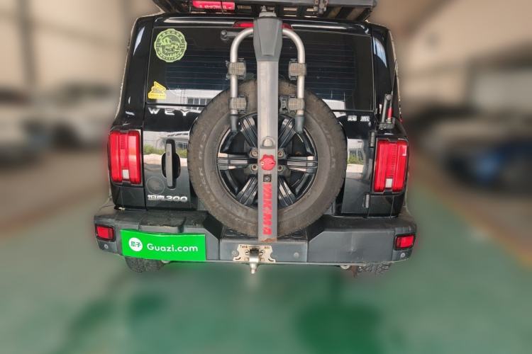 Used Tank 300 2021 Off-Road Edition 2.0T Conqueror Rear