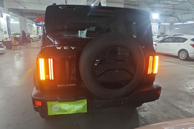 Used Tank 300 2021 Off-Road Edition 2.0T Conqueror Rear