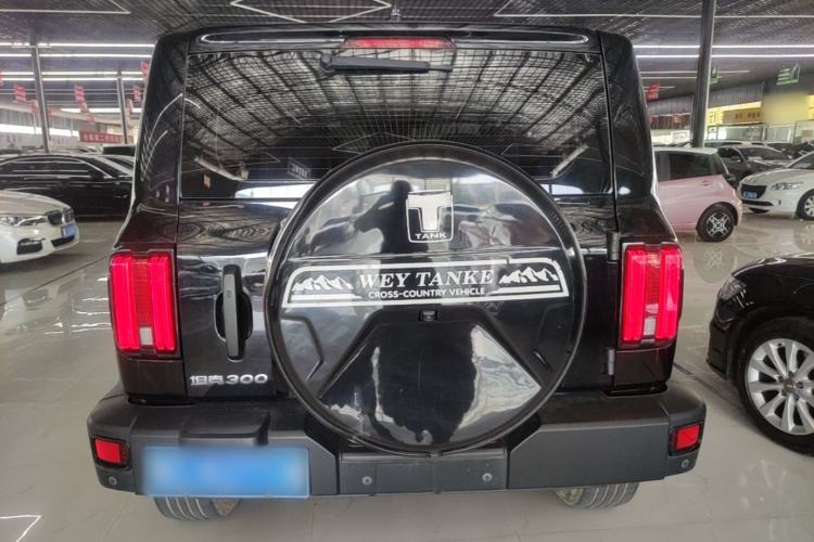 Used Tank 300 2021 Off-Road Edition 2.0T Conqueror Rear