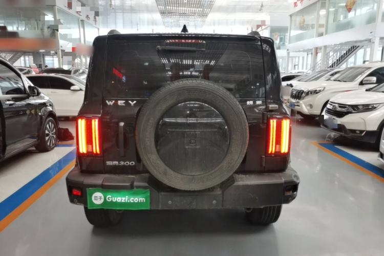 Used Tank 300 2021 Off-Road Edition 2.0T Conqueror Rear