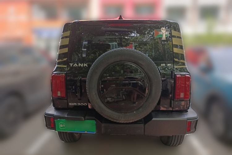 Used Tank 300 2021 City Edition 2.0T—Truly Stylish Rear