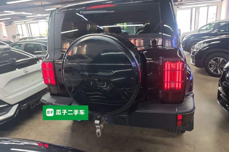 Used Tank 300 2021 City Edition 2.0T Essential Model Rear