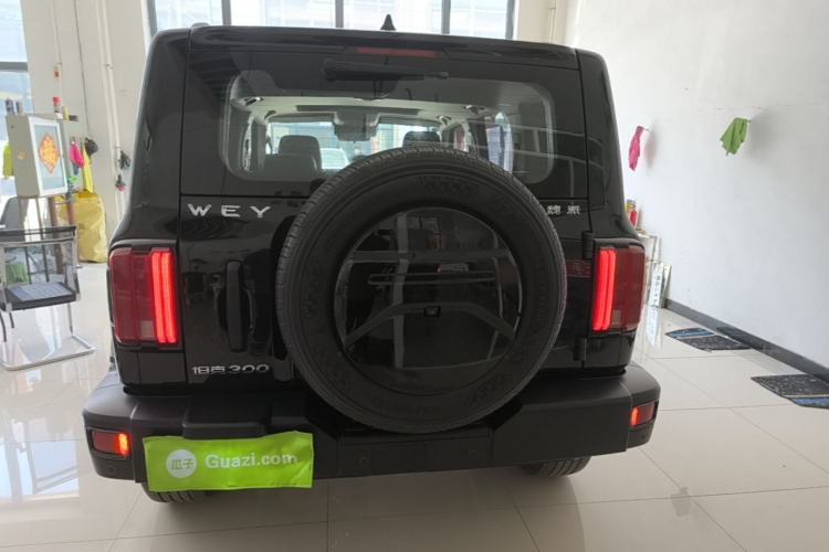 Used Tank 300 2021 Off-Road Edition 2.0T Conqueror Rear