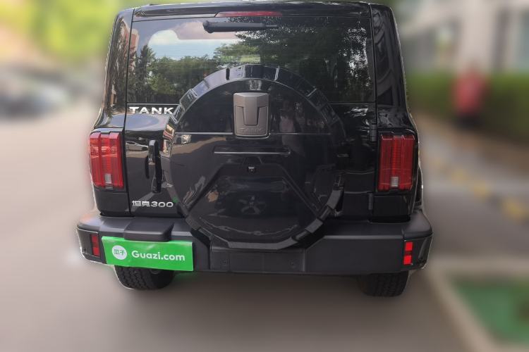 Used Tank 300 2021 City Edition 2.0T—Truly Stylish Rear