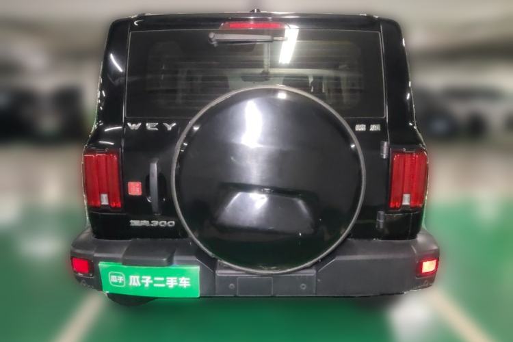 Used Tank 300 2021 Off-Road Edition 2.0T Conqueror Rear
